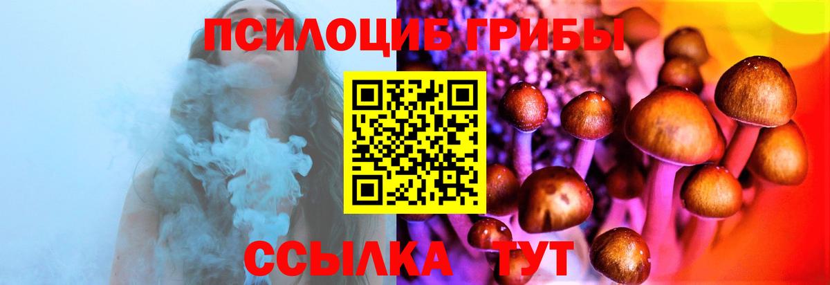 Новоуральск  Псилоцибиновые грибы Psilocybine cubensis  Вход с VPN  Псилоцибиновые грибы ЛСД 